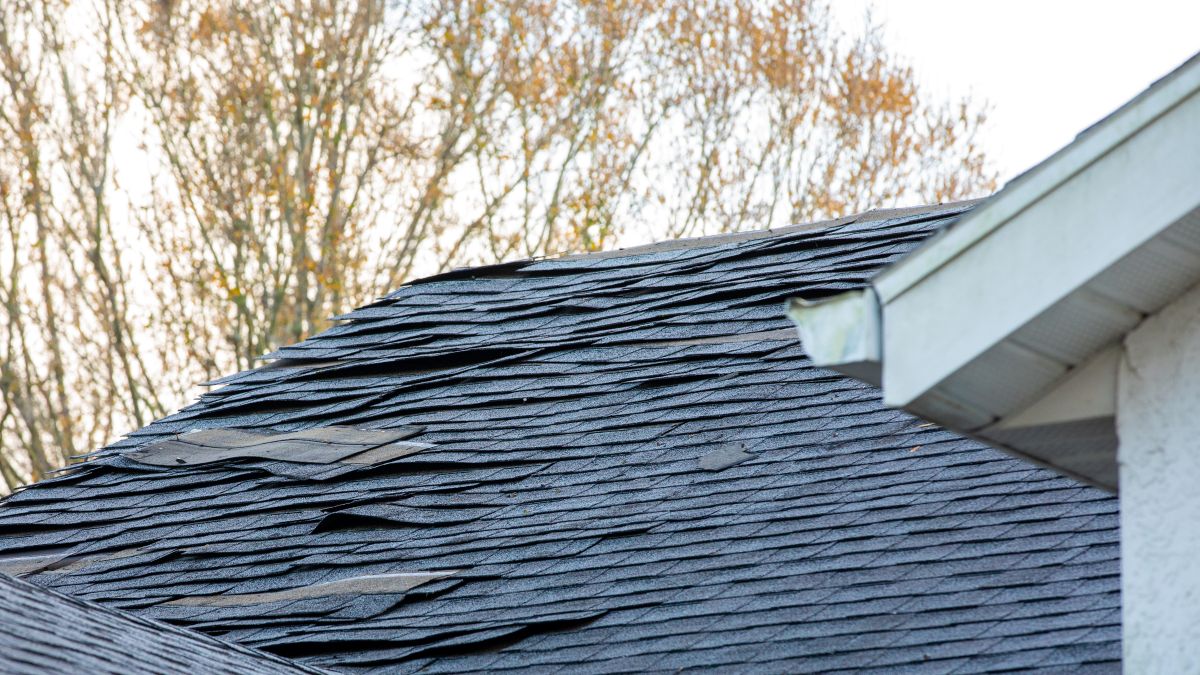 old asphalt roof shingles on house roof, Maple Grove
